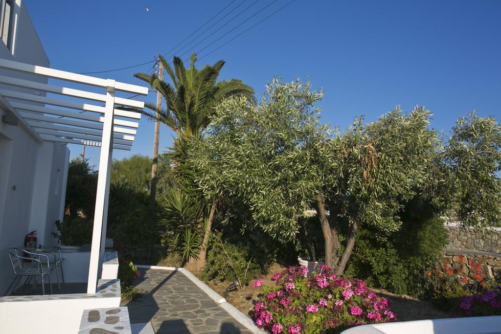 Anna-Maria Mykonos Hotel Glastros  외부 사진