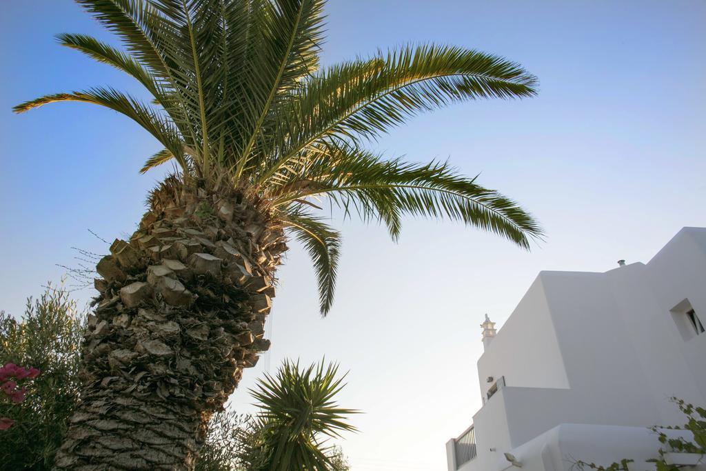 Anna-Maria Mykonos Hotel Glastros  외부 사진